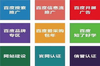 百度竞价推广运营实战技巧与经典案例剖析