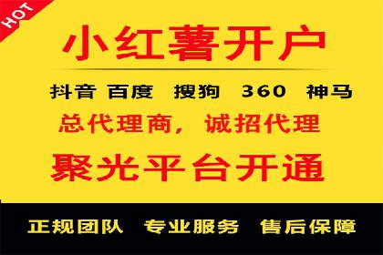 案例研究：SEM代运营服务公司的创新策略